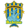 FC Baleine Shimonoseki
